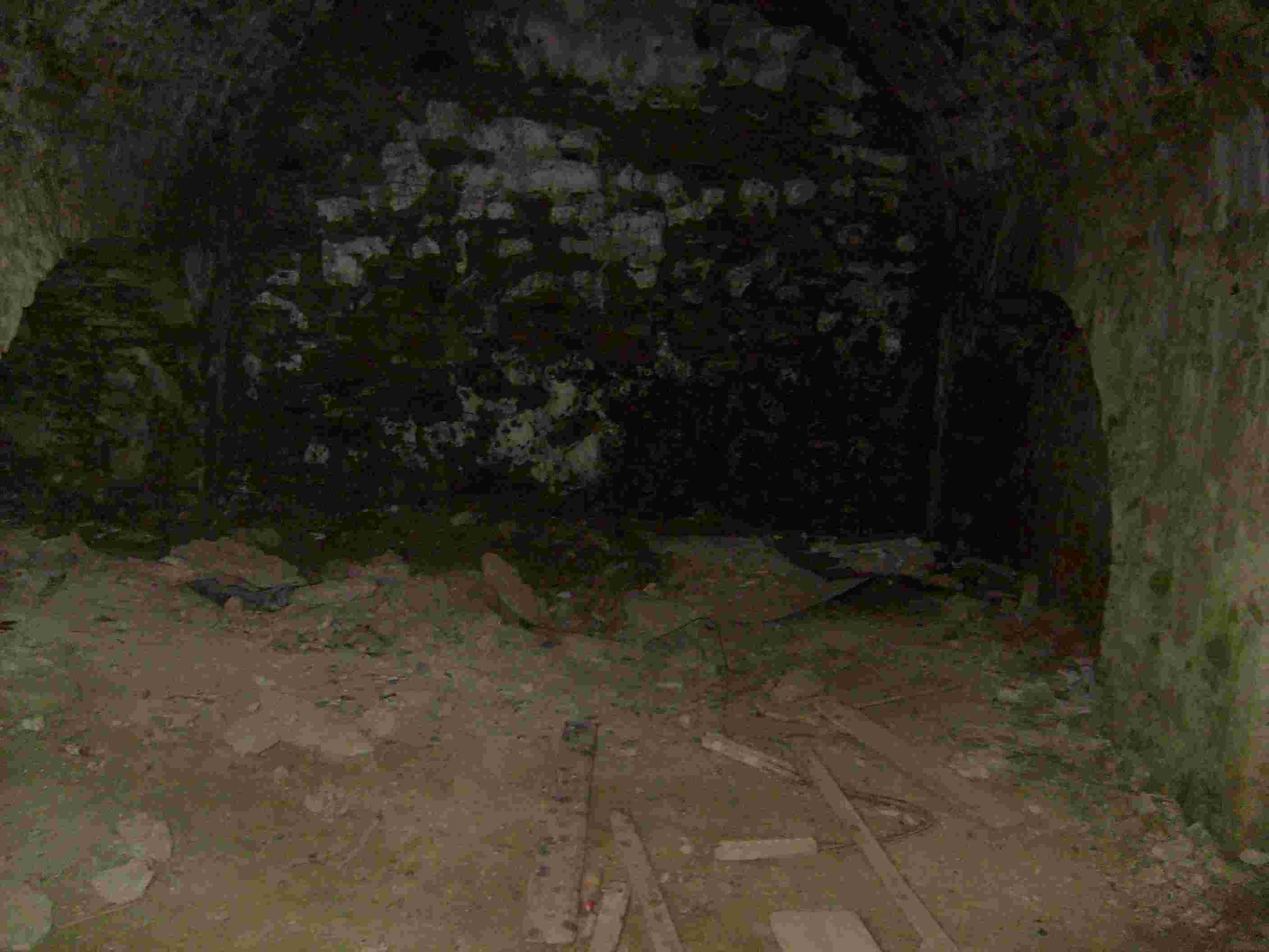 S6309069.JPG